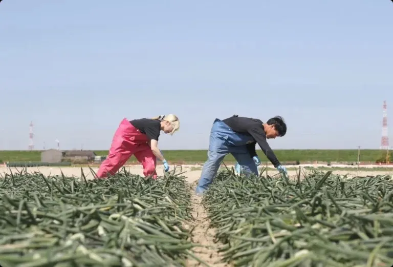 農業を始めたきっかけ